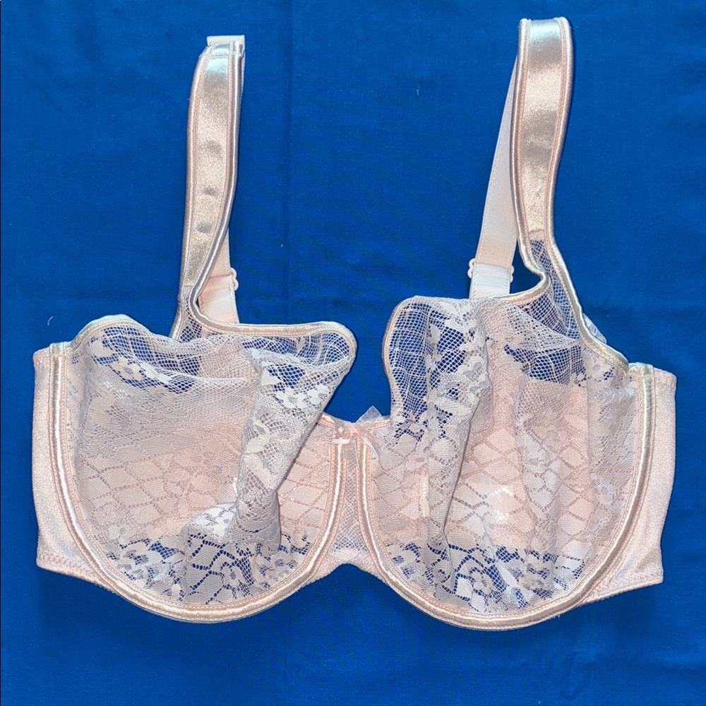 Empreinte Melody Underwire Lace Cup Bra 32F